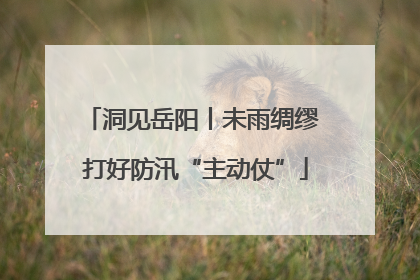 洞见岳阳丨未雨绸缪 打好防汛“主动仗”