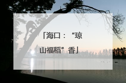 海口：“琼山福稻”香