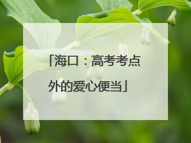 海口：高考考点外的爱心便当