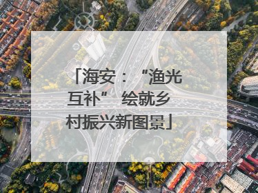 海安：“渔光互补” 绘就乡村振兴新图景