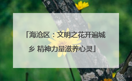 海沧区：文明之花开遍城乡 精神力量滋养心灵