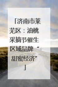 济南市莱芜区：油桃采摘节催生区域品牌“甜蜜经济”