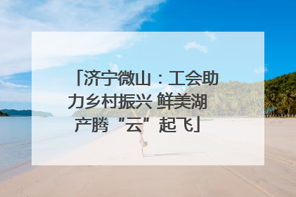 济宁微山：工会助力乡村振兴 鲜美湖产腾“云”起飞