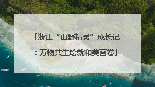 浙江“山野精灵”成长记：万物共生绘就和美画卷