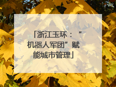 浙江玉环：“机器人军团”赋能城市管理