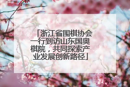 浙江省围棋协会一行到访山东国奥棋院，共同探索产业发展创新路径