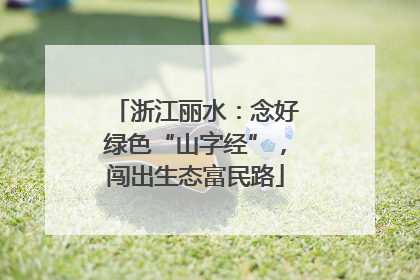 浙江丽水：念好绿色“山字经”，闯出生态富民路