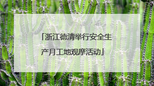 浙江德清举行安全生产月工地观摩活动