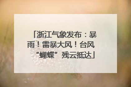浙江气象发布：暴雨！雷暴大风！台风“蝴蝶”残云抵达