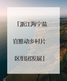 浙江海宁盐官推动乡村片区组团发展