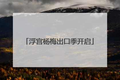 浮宫杨梅出口季开启