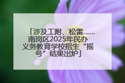 涉及工附、松雷……南岗区2025年民办义务教育学校招生“摇号”结果出炉