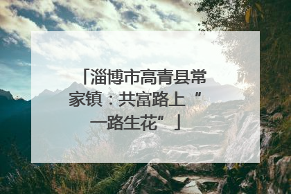淄博市高青县常家镇：共富路上“一路生花”