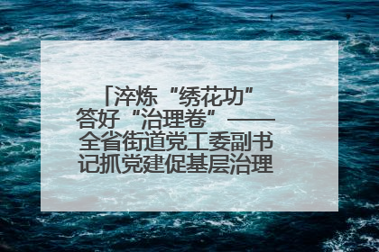 淬炼“绣花功” 答好“治理卷”——全省街道党工委副书记抓党建促基层治理培训示范班侧记