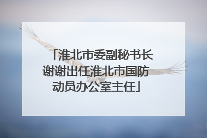 淮北市委副秘书长谢谢出任淮北市国防动员办公室主任