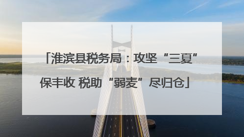 淮滨县税务局：攻坚“三夏”保丰收 税助“弱麦”尽归仓