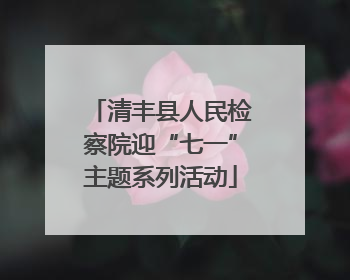 清丰县人民检察院迎“七一”主题系列活动