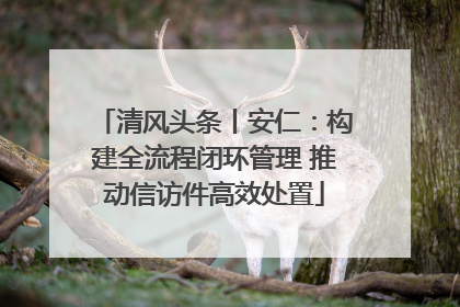清风头条丨安仁：构建全流程闭环管理 推动信访件高效处置