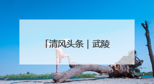清风头条｜武陵源区：理论实务“双驱动 ” 充电赋能“增才干”