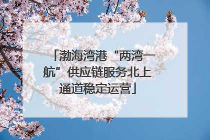 渤海湾港“两湾一航”供应链服务北上通道稳定运营