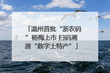 温州首批“浙农码”杨梅上市 扫码溯源“数字土特产”