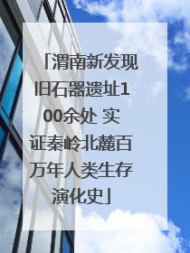 渭南新发现旧石器遗址100余处 实证秦岭北麓百万年人类生存演化史