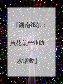 湖南祁东：黄花菜产业助农增收