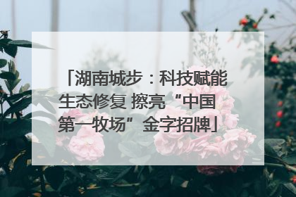 湖南城步：科技赋能生态修复 擦亮“中国第一牧场”金字招牌