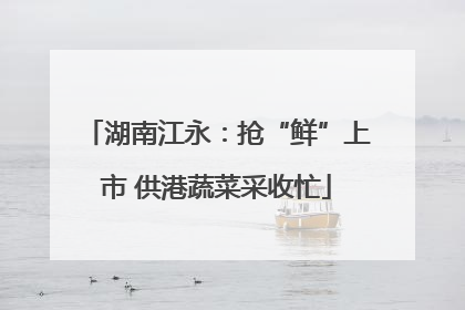 湖南江永：抢“鲜”上市 供港蔬菜采收忙