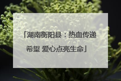 湖南衡阳县：热血传递希望 爱心点亮生命
