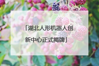 湖北人形机器人创新中心正式揭牌