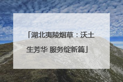 湖北夷陵烟草：沃土生芳华 服务绽新篇