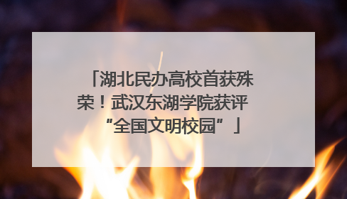 湖北民办高校首获殊荣！武汉东湖学院获评“全国文明校园”