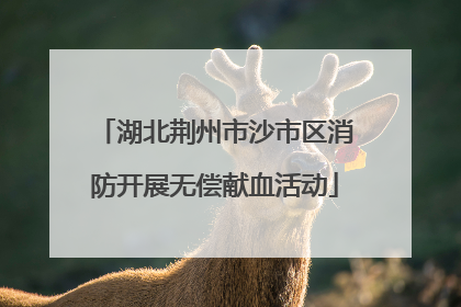 湖北荆州市沙市区消防开展无偿献血活动