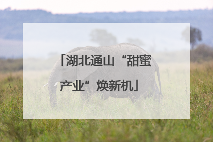 湖北通山“甜蜜产业”焕新机