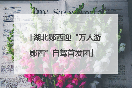 湖北郧西迎“万人游郧西”自驾首发团