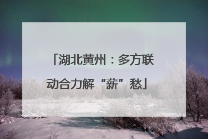 湖北黄州：多方联动合力解“薪”愁
