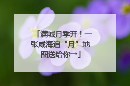 满城月季开！一张威海追“月”地图送给你→