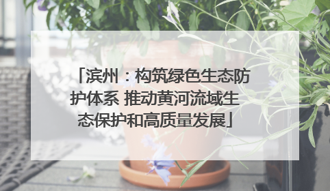 滨州：构筑绿色生态防护体系 推动黄河流域生态保护和高质量发展