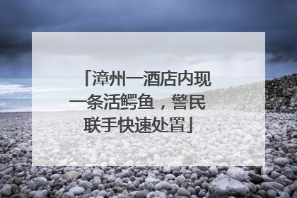 漳州一酒店内现一条活鳄鱼，警民联手快速处置