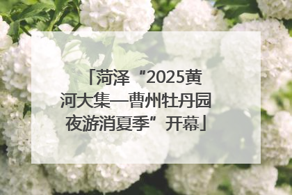 菏泽“2025黄河大集—曹州牡丹园夜游消夏季”开幕