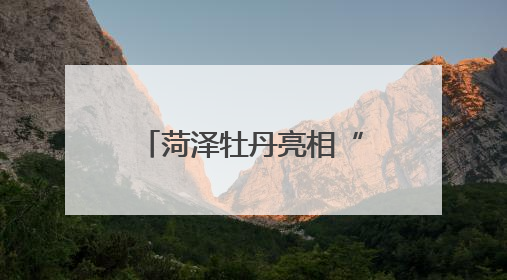 菏泽牡丹亮相“哈洽会”撬动国际合作新机遇