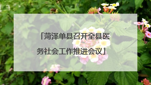 菏泽单县召开全县医务社会工作推进会议