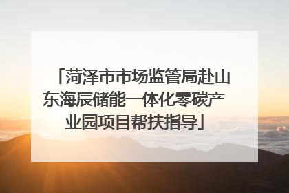 菏泽市市场监管局赴山东海辰储能一体化零碳产业园项目帮扶指导