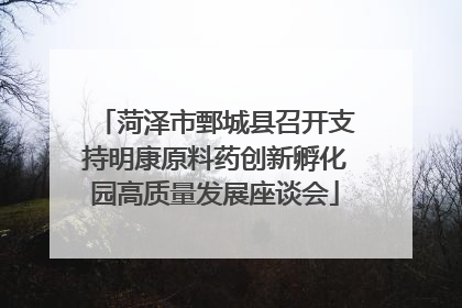菏泽市鄄城县召开支持明康原料药创新孵化园高质量发展座谈会