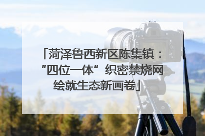 菏泽鲁西新区陈集镇：“四位一体”织密禁烧网 绘就生态新画卷