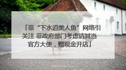 菲“下水道美人鱼”网络引关注 菲政府部门考虑请其当官方大使，赠现金开店