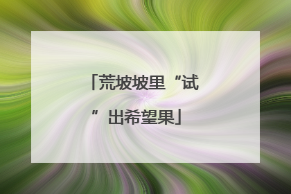 荒坡坡里“试”出希望果