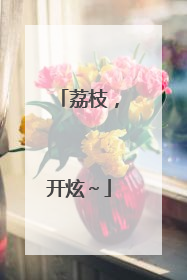 荔枝，开炫～