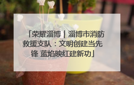 荣耀淄博｜淄博市消防救援支队：文明创建当先锋 蓝焰映红建新功